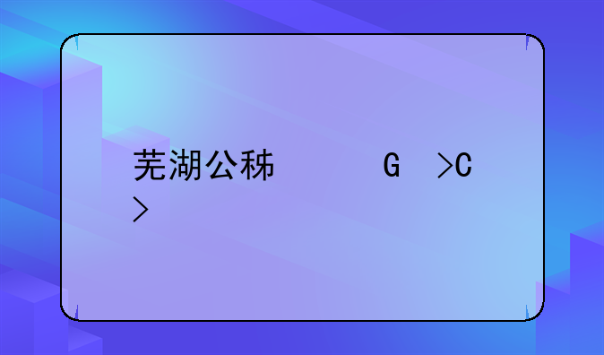 芜湖公积金提取