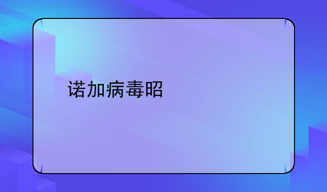 诺加病毒是什么