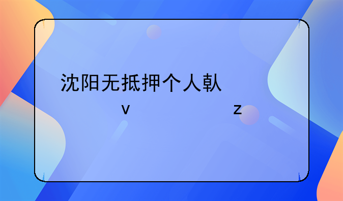 沈阳无抵押个人借贷全面解析