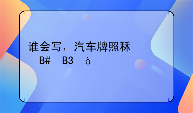 谁会写，汽车牌照租赁合同？