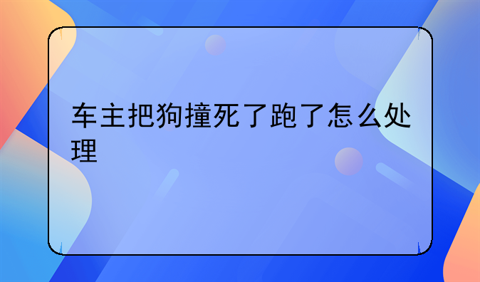 车主把狗撞死了跑了怎么处理