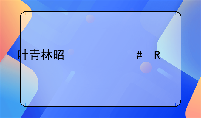 叶青林是什么电视剧