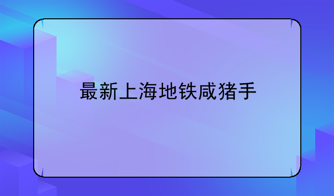 最新上海地铁咸猪手