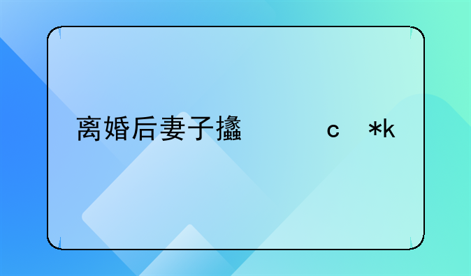 离婚后妻子支付抚养费30万