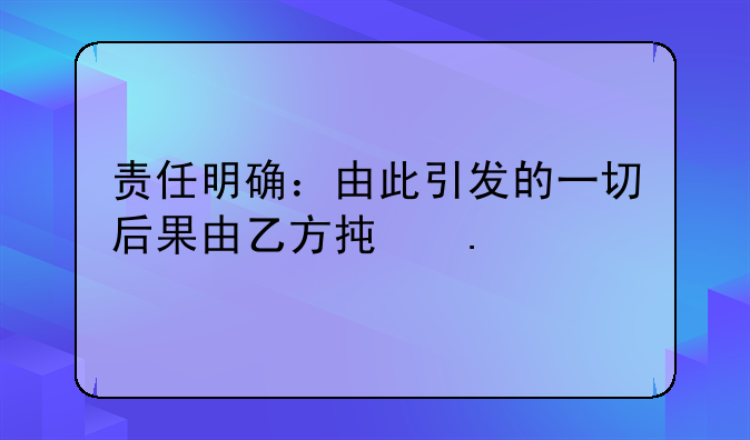责任明确：由此引发的一切后果由乙方承担