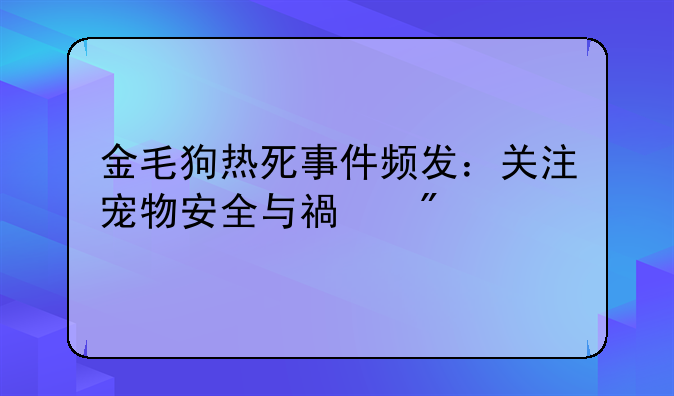金毛狗热死事件频发：关注宠物安全与福利