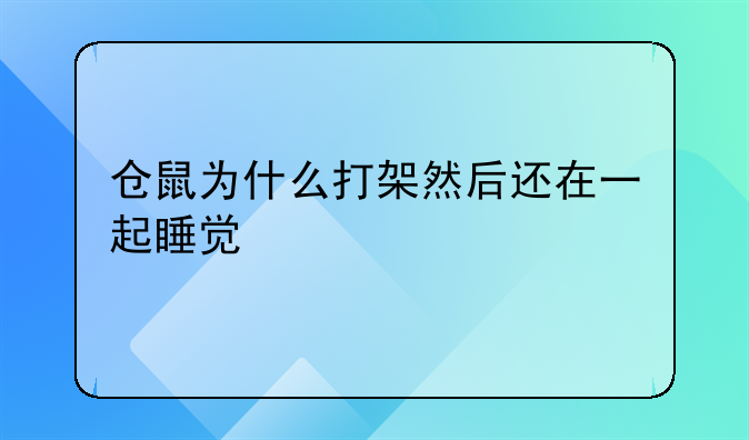 仓鼠为什么打架然后还在一起睡觉