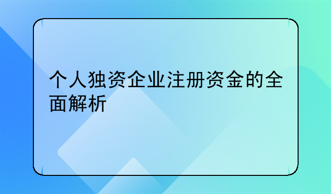 个人独资企业注册资金的全面解析