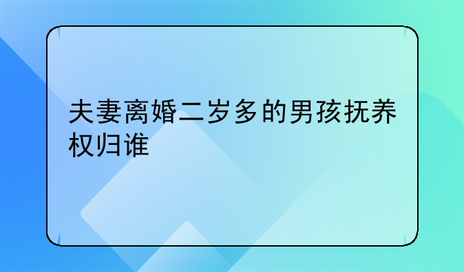 夫妻离婚二岁多的男孩抚养权归谁