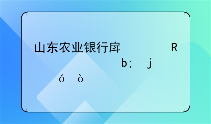 山东农业银行房贷收入证明的格式