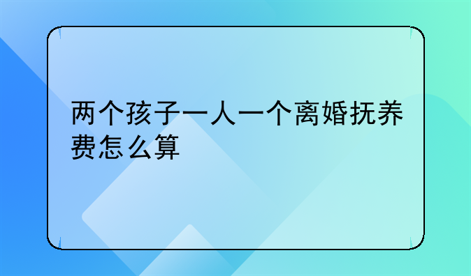 两个孩子一人一个离婚抚养费怎么算