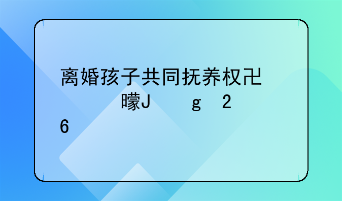 离婚孩子共同抚养权协议书撰写指南