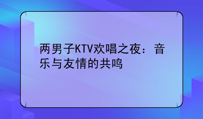 两男子KTV欢唱之夜：音乐与友情的共鸣