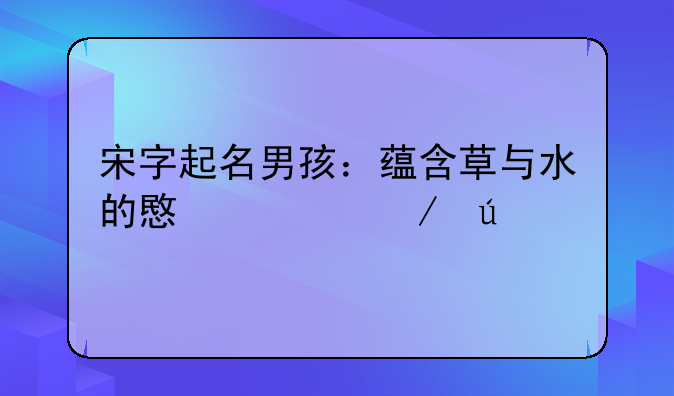 宋字起名男孩：蕴含草与水的意境之美
