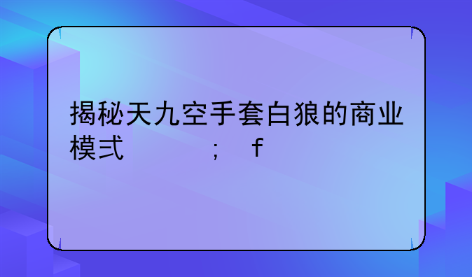 揭秘天九空手套白狼的商业模式与智慧