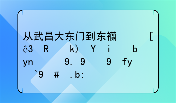 从武昌大东门到东西湖二支沟武汉市第一拘留所怎么走