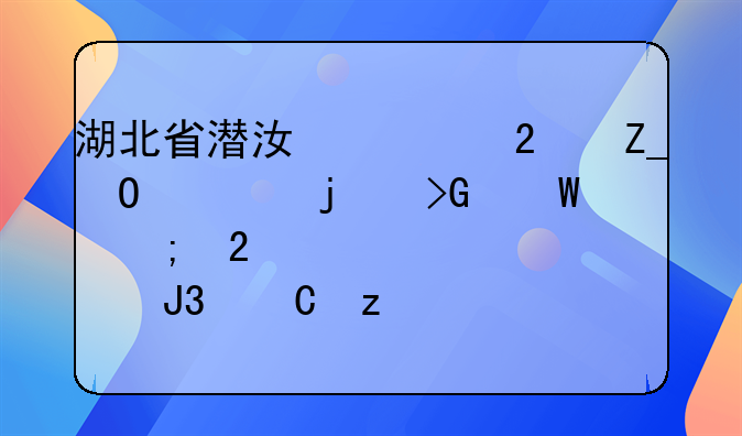湖北省潜江市医疗体系的发展与医患和谐构建