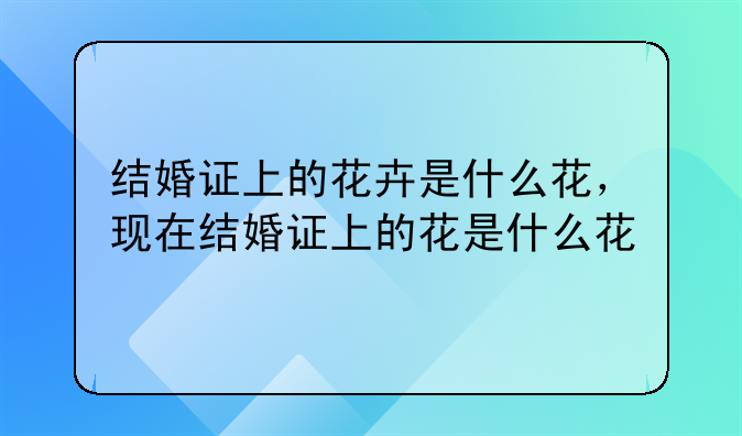 结婚证上的花卉是什么花，现在结婚证上的花是什么花