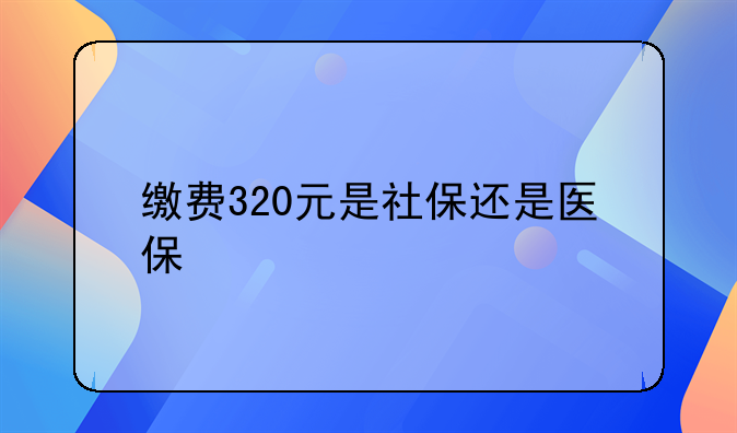 缴费320元是社保还是医保