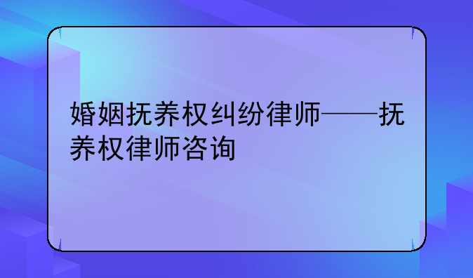婚姻抚养权纠纷律师——抚养权律师咨询